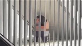 台南,美術館,廁所