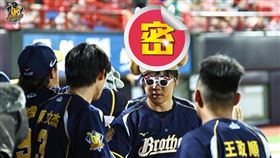 ▲中信兄弟詹子賢開轟後將烤雞身體戴在頭上，並在鏡頭前比出黃飛鴻經典姿勢慶祝。（圖／翻攝自兄弟Fans Club臉書）