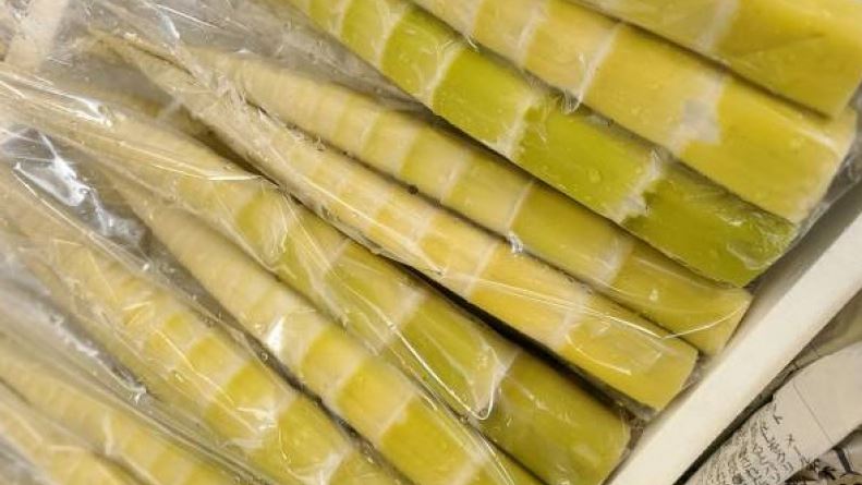 吃竹筍少1步驟會中毒！醫揭誤食恐怖後果