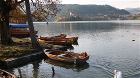 ▲英國一名男子連續2天目擊「水怪」攻擊湖邊生物。（示意圖／Pixabay）