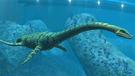 薄板龍生存於白堊紀晚期，是一種與恐龍同時代的海洋爬行動物。（圖／翻攝自維基百科）