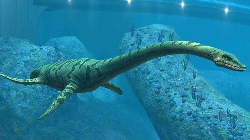 牧場挖出海洋巨獸　白堊紀晚期水怪身長7m