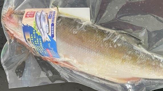 驚！屏東午仔魚檢出致癌物還原型孔雀綠