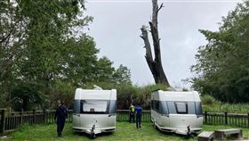 玉山國家公園，塔塔加，露營車違停夫妻樹，開罰，違規，亂丟垃圾果皮(圖／玉管處提供)