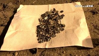 公園被灑釘子恐傷孩童　短期內已連續2件