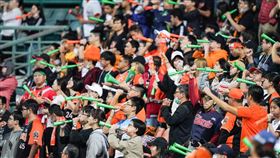 ▲統一獅球迷在新莊球場外野。（圖／取自統一獅FB）