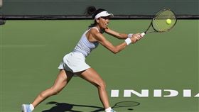 謝淑薇（圖／美聯社／達志影像）