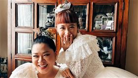 ▲Lulu。（圖／翻攝自臉書）