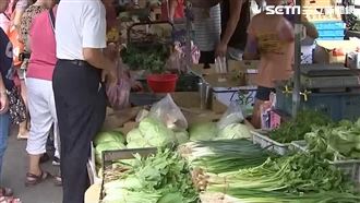 菜比肉貴！產地遭重創　菠菜1kg飆破400元