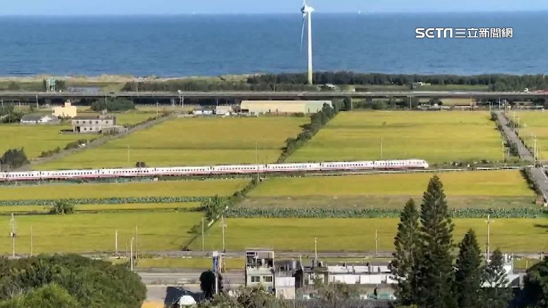 趁收割前朝聖！稻浪綠轉黃…揭中部4美景