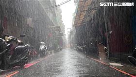下雨,雨天,豪雨,捲毛,老蕭（示意圖／記者蕭宥宸攝影）