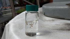 登革熱(高雄市政府)