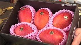 芒果盛產期又香又甜！鼓勵民眾選擇國產芒果