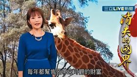 前《消失的國界》主持人李天怡