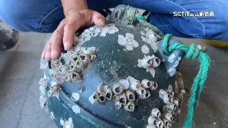 男童海水浴場遭刮傷　家長：浮球繩割人