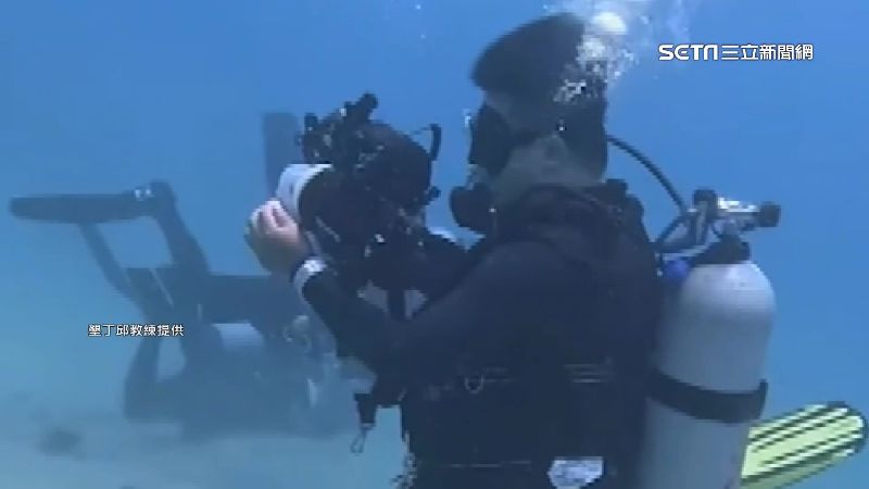 迷你海蛞蝓萌樣　潛水客擺拍觸法罰3千