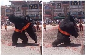 進香團陣頭嗨爆！驚見2公尺高大猩猩熱舞