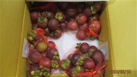 0704山竹(食藥署提供)