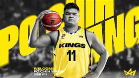 ▲王柏智加盟新北國王。（圖／新北國王球團提供）