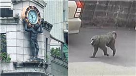 她曬「擡鐘人」大玩諧音梗！狂吸萬人按讚　網全笑翻：逃園人