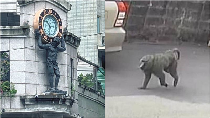 她曬擡鐘人吸萬人狂讚　網跟風玩：逃園人