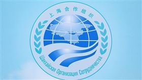 上海合作組織高峰會以視訊形式舉行，會後發布新德里宣言。（圖／翻攝自上海合作組織官網）