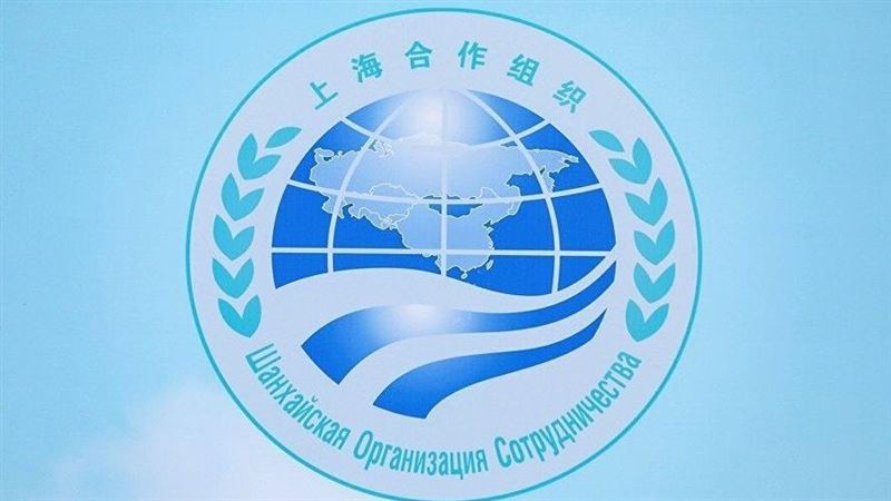 上合組織新德里宣言　嗆中國及巴基斯坦