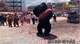 ▲黑猩猩現身廟會。（圖／隨手拍廟會提供）