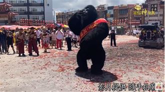 廟會出現超級巨「猩」?!吸晴陣頭嗨翻全場