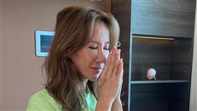 （圖／翻攝自臉書CoCo Lee 李玟）