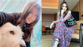 ▲工藤靜香。（圖／翻攝自IG）