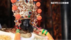 ▲南鯤鯓代天府李大王。（圖／寶島神很大）