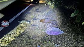 彰化,水鹿,車禍,意外,