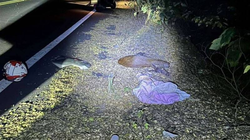 水鹿突竄出草叢　慘遭無照騎士撞飛橫死