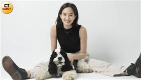 韓寧,可卡犬,返校,甜點師,仙氣,