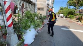 高雄本土登革熱(高雄市政府提供)