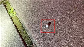 200元,BB槍,社維法,傷害,蘆洲,新北,