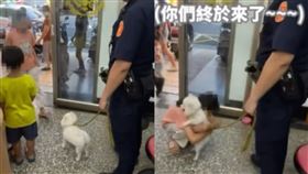 影／女警頂高溫助小白狗回家！「重逢瞬間」畫面曝光　暖哭36萬人。（圖／翻攝自高雄市政府警察局臉書）