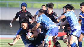 ▲台北元坤跨季11連勝。（圖／台北元坤球團提供）