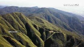 L拒抹茶纜車1200