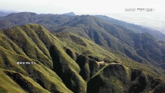 宜蘭抹茶山建纜車　縣府：會再評估可行性