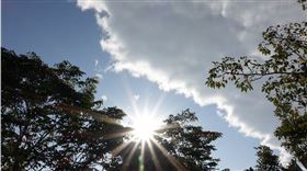 ▲大熱天（示意圖／翻攝自pixabay）