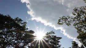 ▲大熱天（示意圖／翻攝自pixabay）