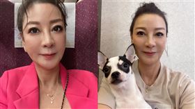 楊繡惠（圖／翻攝自楊繡惠臉書）