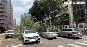台中路樹突倒塌　砸中4車2賓士車損無人傷（圖／翻攝畫面）