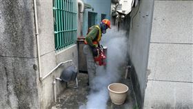 高雄本土登革熱(高雄市政府提供)