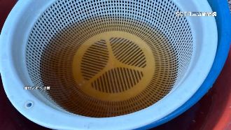 自來水變色半年　3村連署「要喝乾淨水」