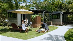 毛孩Fun暑假！台東日暉『GO帝寶』寵物友善園區（業配勿用）