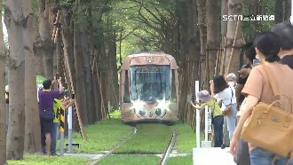 遊客闖輕軌拍「龍貓隧道」　保全嘆：又來