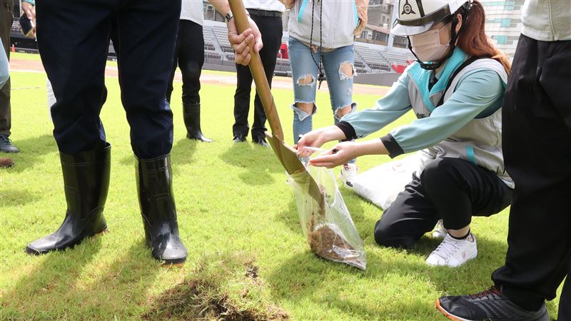 邀大聯盟專家抵台　高虹安：13日球場巡視